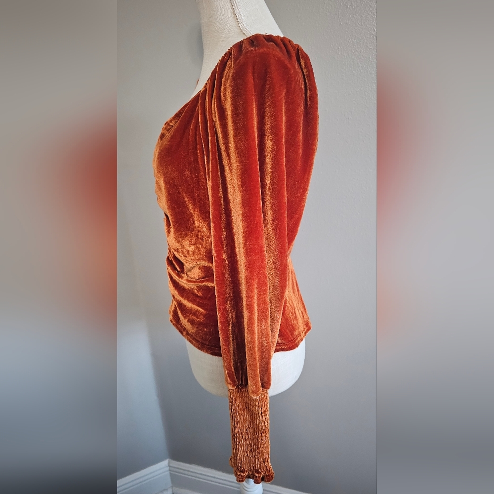 Rust Velvet Ruched Long Sleeve Top - Picture 2 of 6